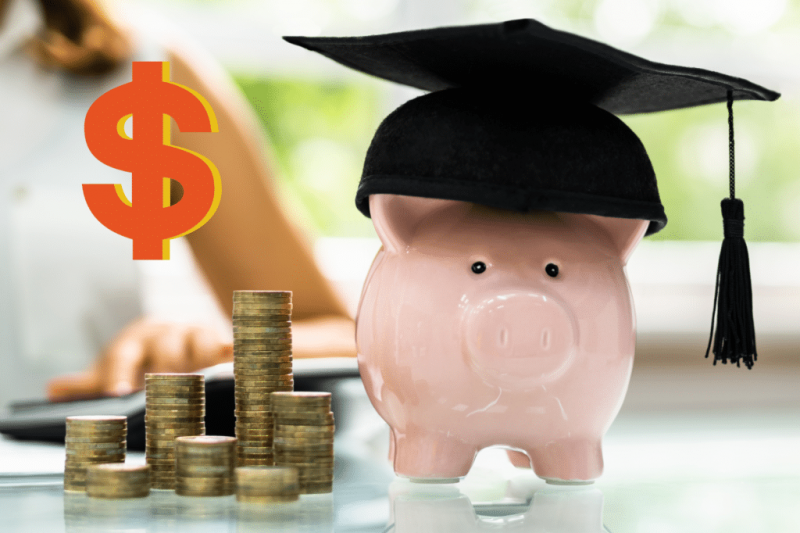 6. Tu propia educación o formación