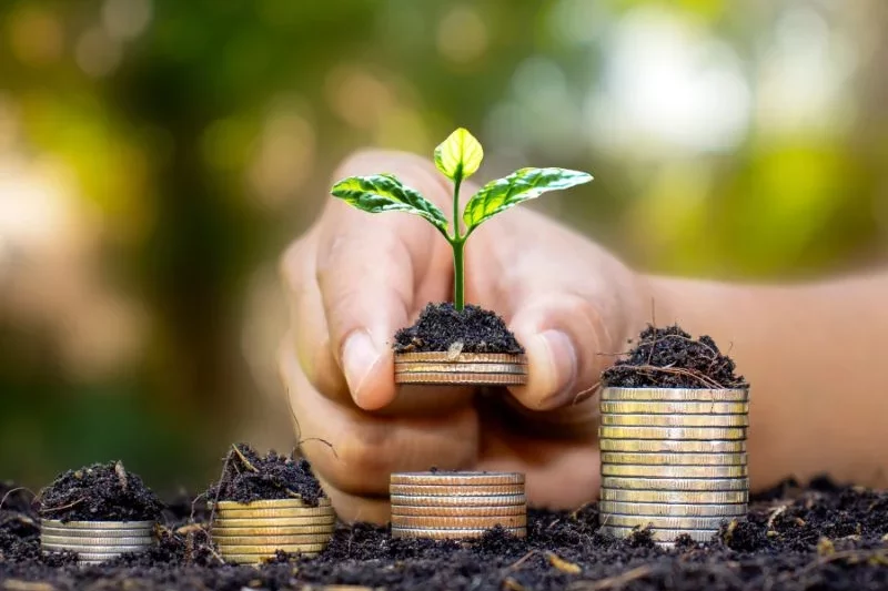 13. ¿Qué es la independencia financiera y cómo puedes alcanzarla invirtiendo?